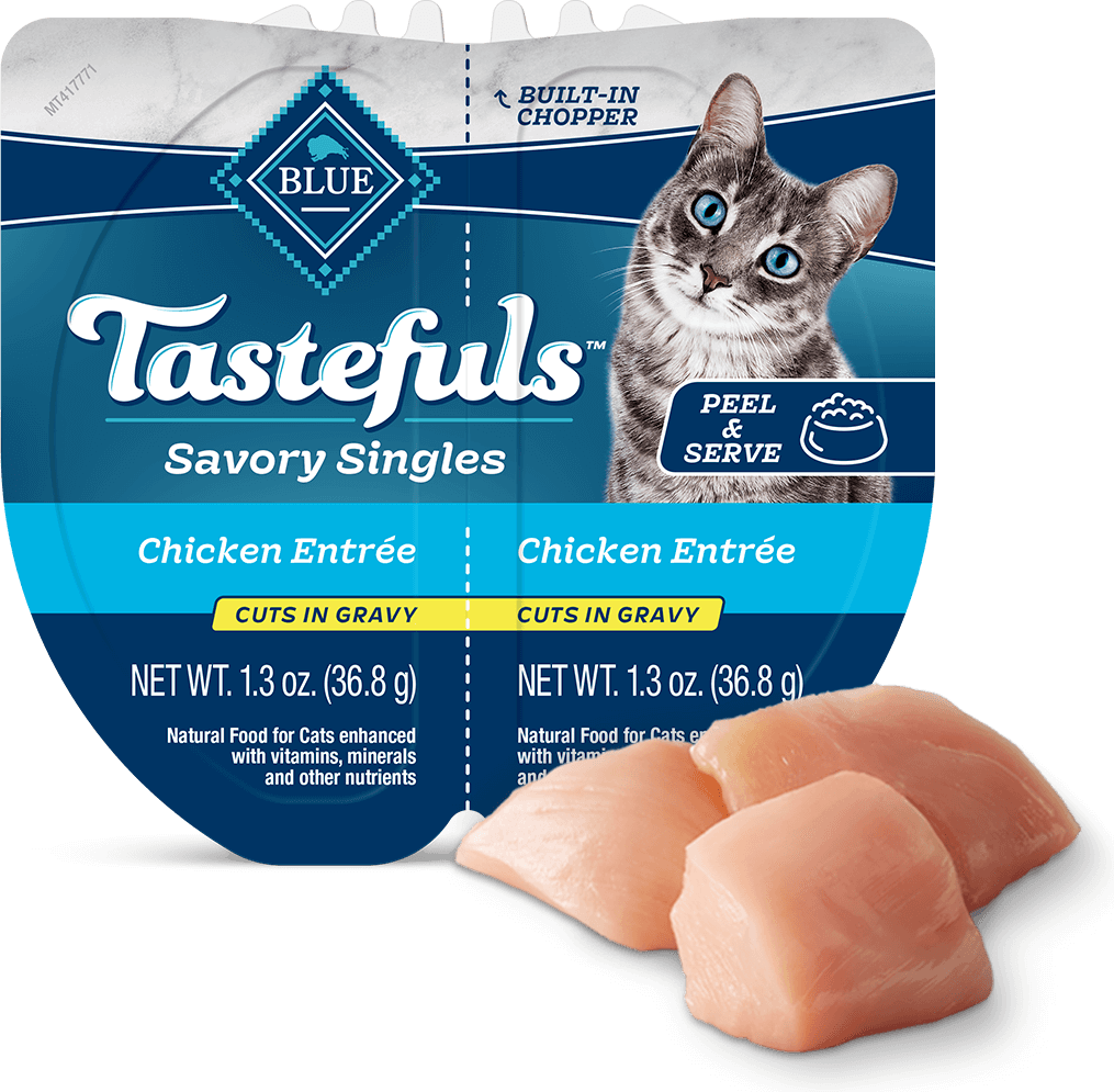 Blue buffalo kitten food reviews cheap